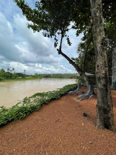 a tree and benches next to a river at AJ Villa in Negombo
