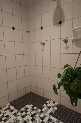 a shower with a plant in a bathroom at Lush Spacious Family Home between Beach & Town in Knysna