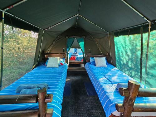 two beds in a tent with blue sheets at Merry Mongoose Riverside Tent in Skeerpoort