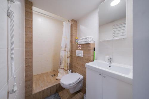 ヴィリニュスにあるKauno Loft - Lollo Luxuryの白いバスルーム(トイレ、シンク付)