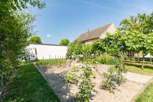 a garden in front of a house at Uiferhäuser in Illmitz