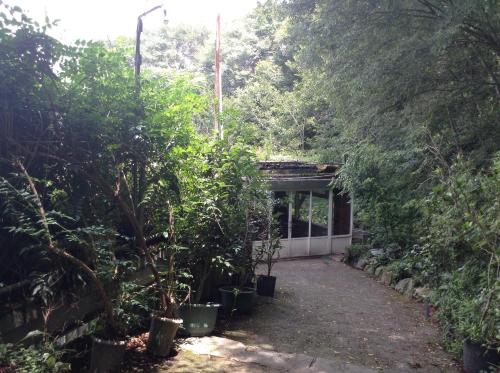 a garden with trees in pots in front of a building at Bunbury Fruit Ranch B&B in Renai