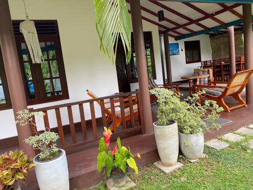 a porch with pots of plants on a house at See Turtle Villa in Tangalle