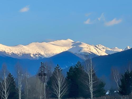 a snow covered mountain with trees in the foreground at Spacious penthouse chalet apartment in Pirin Golf and Country Club in Razlog
