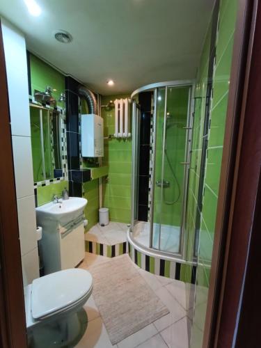 a bathroom with a shower and a toilet and a sink at Mieszkanie w centrum in Kłodzko