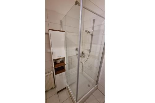 um chuveiro com uma porta de vidro na casa de banho em Feriendorf Via Claudia Ferienhaus Martin em Lechbruck