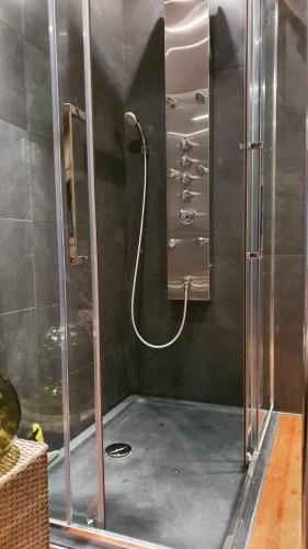 une douche avec une porte vitrée dans une salle de bain dans l'établissement Chambre double accueillante avec douche privative, à Écully
