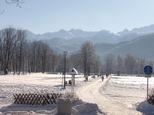 扎科帕内Dworek Na Równi的一条雪覆盖的道路,人们沿着这条道路走