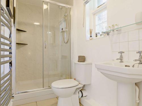 a bathroom with a toilet and a sink and a shower at 1 bed in Monmouth 74976 in Cwmcarvan