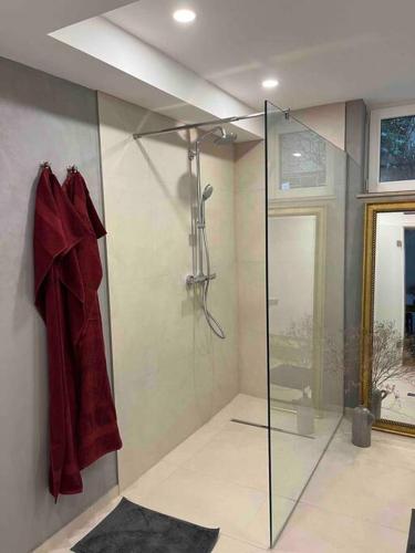 een badkamer met een douche en een glazen deur bij Chic und gemütlich in Dudenhofen