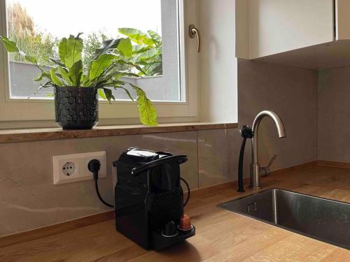 a kitchen sink with a black appliance on the counter at Chic und gemütlich in Dudenhofen