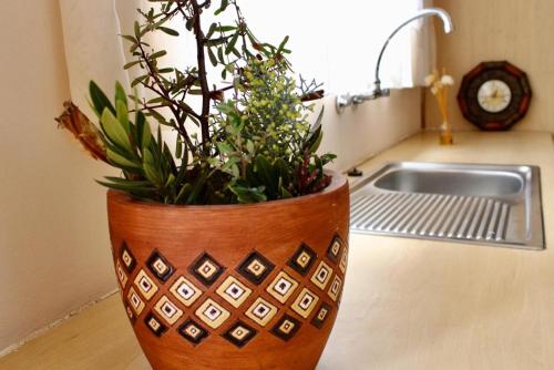 a vase with plants in it sitting on a kitchen counter at Khutsong Lodge 