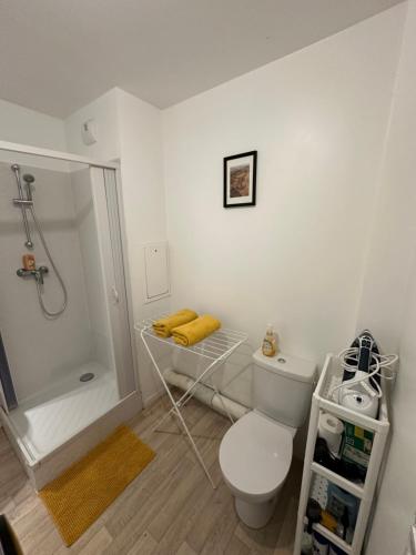 a white bathroom with a toilet and a shower at Paris- Disney - Parking privé !PKN! in Torcy