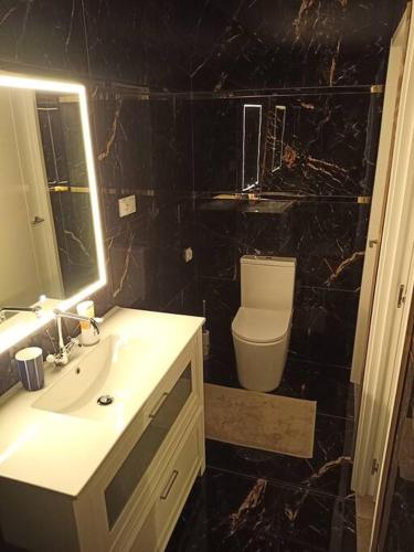 La salle de bains est pourvue d'un lavabo, de toilettes et d'un miroir. dans l'établissement Sunny studio, à Esplugues de Llobregat