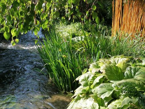 a garden with green plants and a stream at La Malposte in Reviers