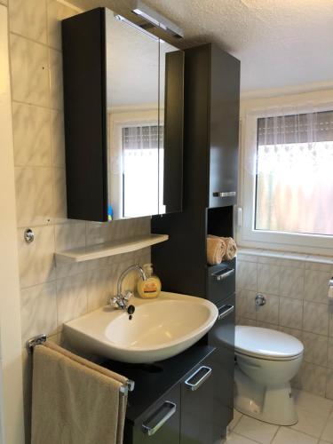 a bathroom with a sink and a toilet and a mirror at Sweet Ferienwohnung Bayreuth City in Bayreuth