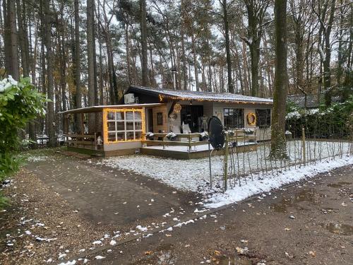 a small house in the middle of a forest at Chalet Sint-Hubertus Deluxe in Zutendaal