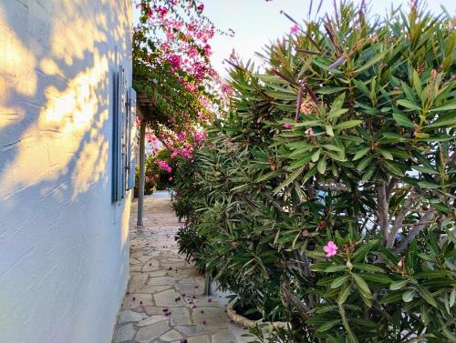 Foto dalla galleria di Despina's Mare a Naoussa