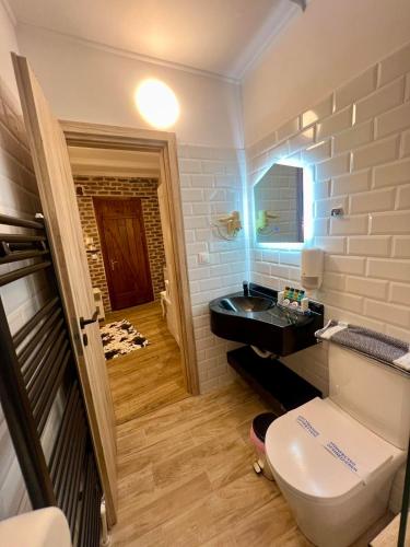 a bathroom with a toilet and a sink at Patriko Mountain Chalet in Palaios Agios Athanasios