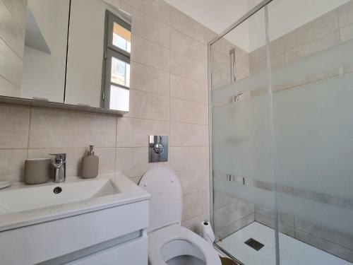 une salle de bain avec toilettes, lavabo et douche dans l'établissement Studio centre historique 1, à Aix-en-Provence