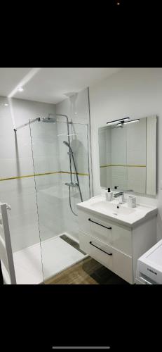 a white bathroom with a shower and a sink at Petit Confort en Bresse in Mervans