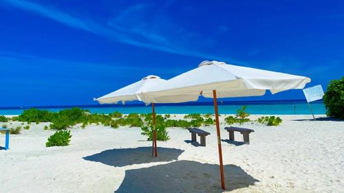 una sombrilla blanca en la playa con dos bancos en Asia Inn Maldives, en Hangnaameedhoo