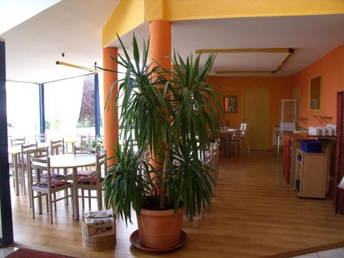 a plant in a room with a table and chairs at Hôtel Noctuel Blois Sud in Saint-Gervais-la-Forêt