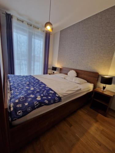 加茨比亞格拉的住宿－Apartament Lazurowe Wybrzeże Jastrzębia Góra，一间卧室设有一张大床和一个窗户。