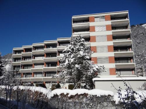 um edifício com uma árvore coberta de neve em frente em Apartment Parkweg 9-602 by Interhome em Engelberg