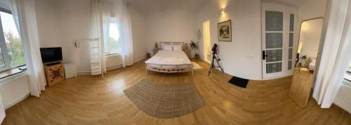 un ampio soggiorno con un letto e un tappeto di BioLocalia House Dobrogea a Baloteşti