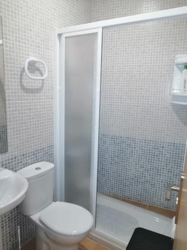 een badkamer met een douche, een toilet en een wastafel bij La Callejuela Balcón in Villarejo de Salvanés