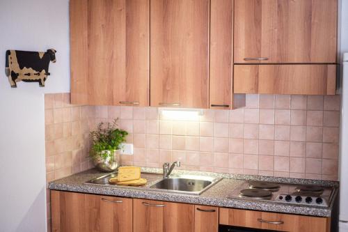 a kitchen with wooden cabinets and a sink at Schittlerhof in Fischen