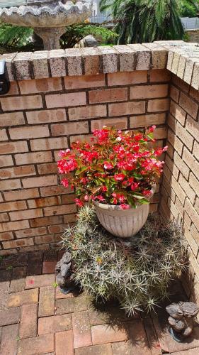a planter with red flowers in a brick wall at Villa Majestic for Exclusive Accommodation in Port Alfred