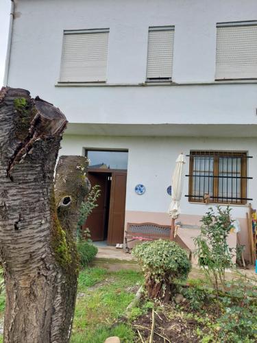 Φωτογραφία από το άλμπουμ του Casa MaySa σε Cacabelos