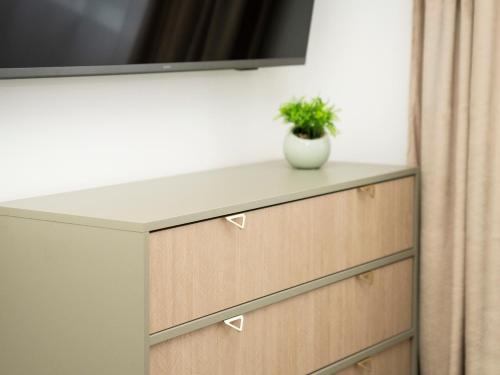 a tv on top of a dresser with a plant on it at Central Station Apartment No8 in Kaunas