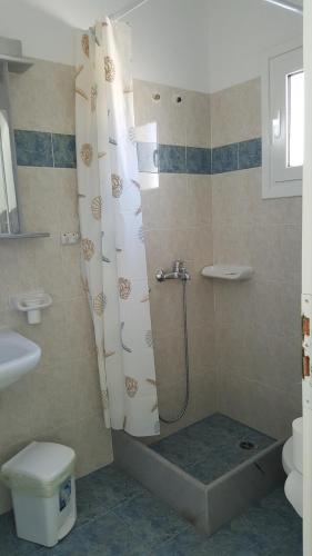 a bathroom with a shower and a toilet at Panorama studios in PisoLivadi in Piso Livadi