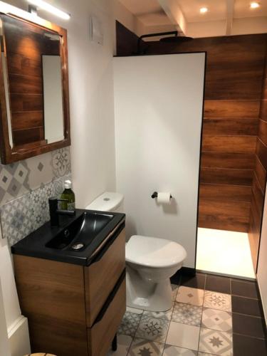 une salle de bain avec toilettes, lavabo et miroir dans l'établissement la petite Normande, à Triqueville