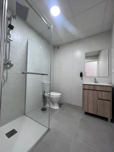 La salle de bains est pourvue d'une douche, de toilettes et d'un lavabo. dans l'établissement Apartamentos San Juan Suites, à Badajoz