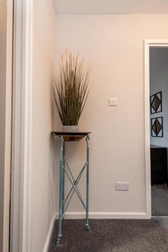 Φωτογραφία από το άλμπουμ του WORCESTER Fabulous Cherry Tree Mews self check in dogs welcome by prior arrangement , 2 double bedrooms ,super fast Wi-Fi, with free off road parking for 2 vehicles near Royal Hospital and woodland walks στο Ουόρσεστερ