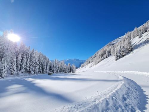 a snow covered mountain with trees and the sun in the sky at Alp Apart Niederthai in Umhausen