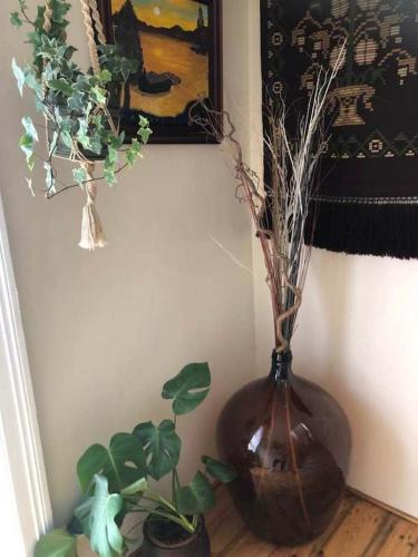 wazon z roślinami obok ściany w obiekcie Geitaskarð w mieście Blönduós