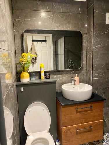 a bathroom with a toilet and a sink and a mirror at cozy room in Edinburgh in Edinburgh