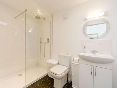 a bathroom with a toilet and a shower and a sink at 2 Bed in Portreath 88826 in Camborne