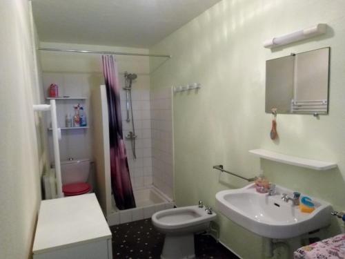 La salle de bains est pourvue d'un lavabo, de toilettes et d'une douche. dans l'établissement Le Chapelat, à Saint-Michel-Saint-Jaymes