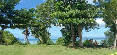 widok na ocean z hamaka między drzewami w obiekcie TFC Homestay w mieście Tagbilaran