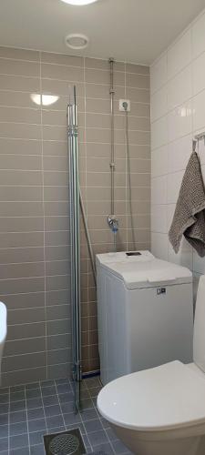 a bathroom with a shower and a toilet at Cozy renovated flat in Kajaani center (alv. vähennyskelpoinen) in Kajaani