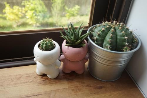 three potted plants sitting next to a window at Double Egg Yolk Living Space in Dongshan