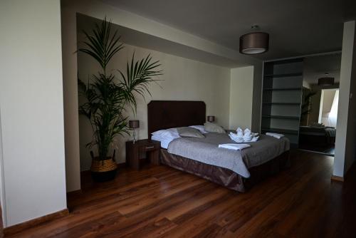 a bedroom with a bed and a potted plant at Hotel OSTREDOK in Demanovska Dolina