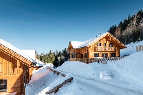 a log cabin in the snow with a driveway at Poolchalet Dachsteinblick in Pruggern