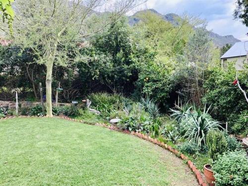 a garden with a lawn and trees and plants at The Olive Tree Cottage in Riebeek-Wes